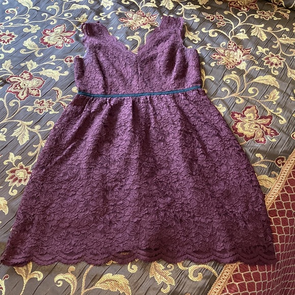 Loft Lace Dress - Picture 8 of 10